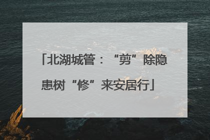 北湖城管：“剪”除隐患树“修”来安居行