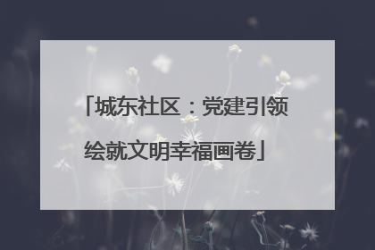 城东社区：党建引领绘就文明幸福画卷