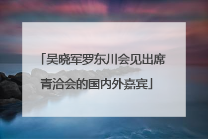 吴晓军罗东川会见出席青洽会的国内外嘉宾