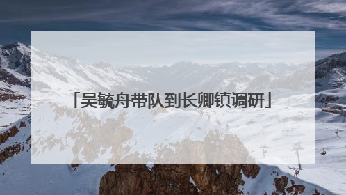 吴毓舟带队到长卿镇调研