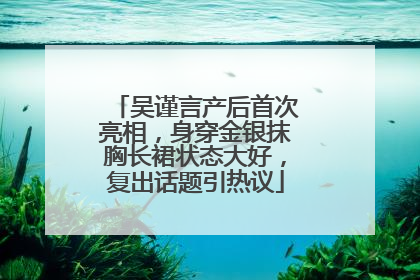 吴谨言产后首次亮相，身穿金银抹胸长裙状态大好，复出话题引热议
