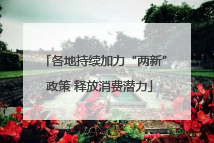各地持续加力“两新”政策 释放消费潜力