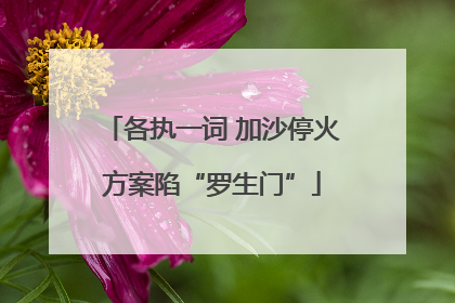 各执一词 加沙停火方案陷“罗生门”