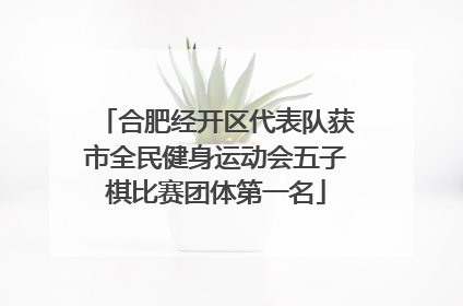 合肥经开区代表队获市全民健身运动会五子棋比赛团体第一名