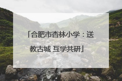 合肥市杏林小学：送教古城 互学共研