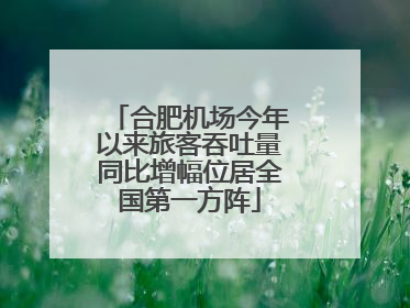 合肥机场今年以来旅客吞吐量同比增幅位居全国第一方阵