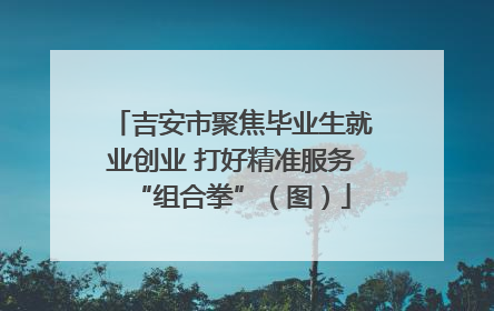 吉安市聚焦毕业生就业创业 打好精准服务“组合拳”（图）