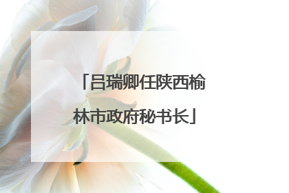 吕瑞卿任陕西榆林市政府秘书长