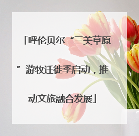 呼伦贝尔“三美草原”游牧迁徙季启动，推动文旅融合发展