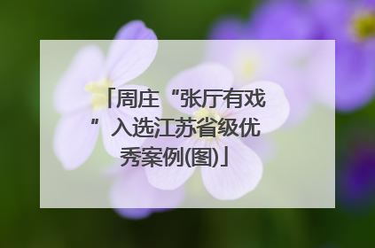 周庄“张厅有戏”入选江苏省级优秀案例(图)