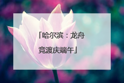 哈尔滨：龙舟竞渡庆端午