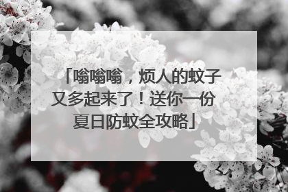 嗡嗡嗡，烦人的蚊子又多起来了！送你一份夏日防蚊全攻略