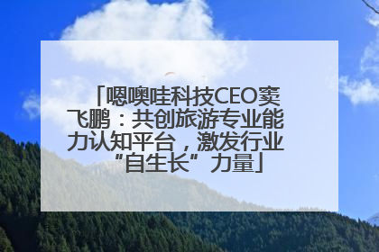 嗯噢哇科技CEO窦飞鹏：共创旅游专业能力认知平台，激发行业“自生长”力量