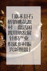 嘉禾县石桥镇桃花源村：盘活闲置用地发展针织产业 织就乡村振兴新图景