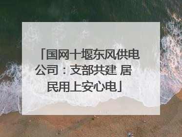 国网十堰东风供电公司：支部共建 居民用上安心电