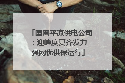 国网平凉供电公司：迎峰度夏齐发力 强网优供保运行