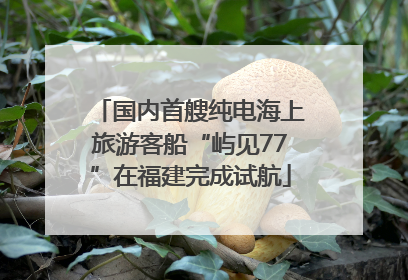 国内首艘纯电海上旅游客船“屿见77”在福建完成试航