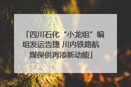 四川石化“小龙组”编组发运告捷 川内铁路航煤保供再添新动能