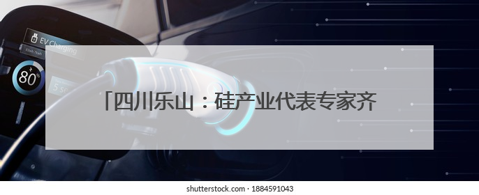 四川乐山：硅产业代表专家齐聚共商技术创新与协同发展
