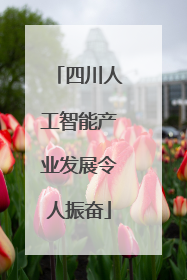 四川人工智能产业发展令人振奋