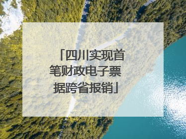 四川实现首笔财政电子票据跨省报销