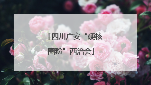 四川广安“硬核圈粉”西洽会