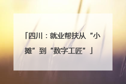 四川：就业帮扶从“小摊”到“数字工匠”
