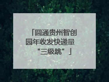圆通贵州智创园年收发快递量“三级跳”