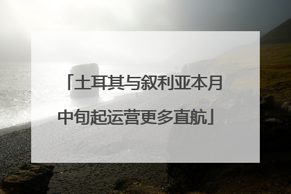 土耳其与叙利亚本月中旬起运营更多直航