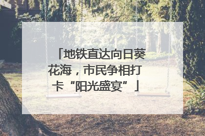 地铁直达向日葵花海，市民争相打卡“阳光盛宴”