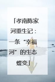 孝南陈家河重生记：一条“幸福河”的生态蝶变