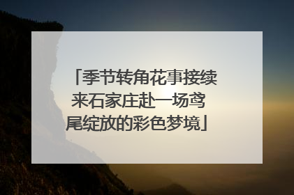 季节转角花事接续 来石家庄赴一场鸢尾绽放的彩色梦境