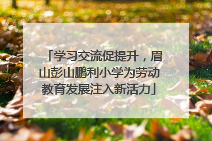 学习交流促提升，眉山彭山鹏利小学为劳动教育发展注入新活力
