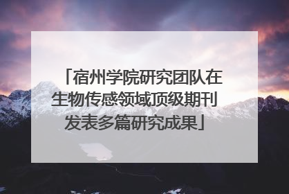 宿州学院研究团队在生物传感领域顶级期刊发表多篇研究成果