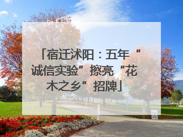 宿迁沭阳：五年“诚信实验”擦亮“花木之乡”招牌