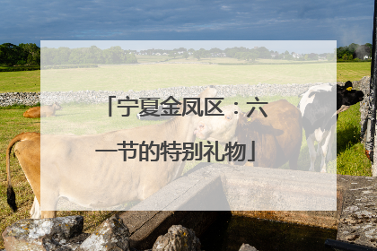 宁夏金凤区：六一节的特别礼物