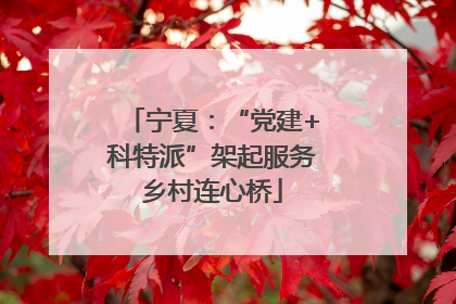 宁夏：“党建+科特派”架起服务乡村连心桥