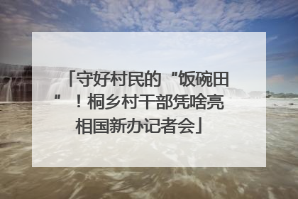 守好村民的“饭碗田”！桐乡村干部凭啥亮相国新办记者会