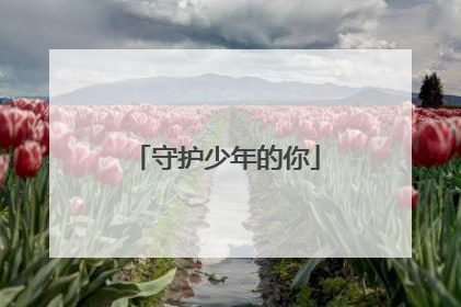 守护少年的你