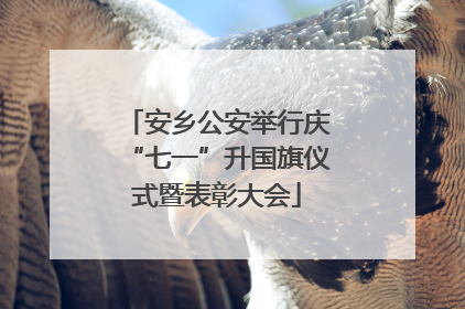 安乡公安举行庆“七一”升国旗仪式暨表彰大会