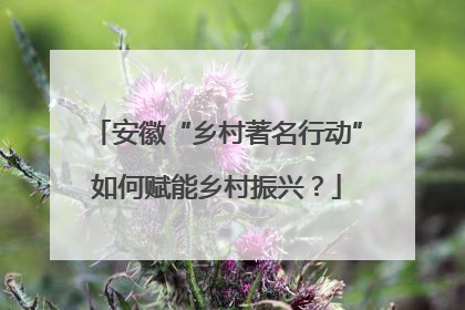 安徽“乡村著名行动”如何赋能乡村振兴？