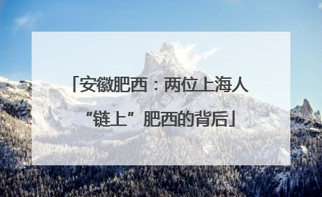 安徽肥西：两位上海人“链上”肥西的背后