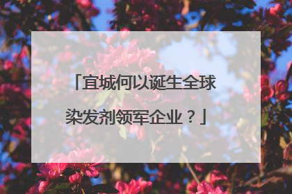 宜城何以诞生全球染发剂领军企业？