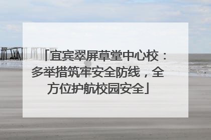 宜宾翠屏草堂中心校：多举措筑牢安全防线，全方位护航校园安全