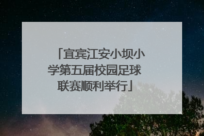 宜宾江安小坝小学第五届校园足球联赛顺利举行