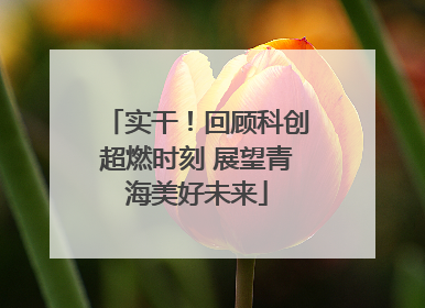 实干！回顾科创超燃时刻 展望青海美好未来