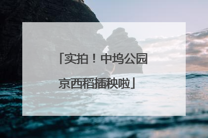 实拍！中坞公园京西稻插秧啦