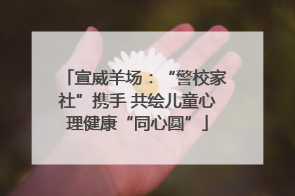 宣威羊场：“警校家社”携手 共绘儿童心理健康“同心圆”