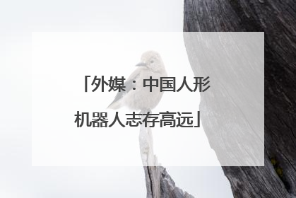外媒：中国人形机器人志存高远