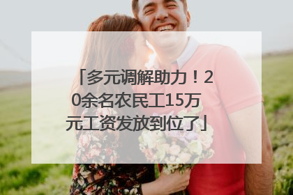多元调解助力！20余名农民工15万元工资发放到位了